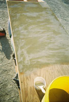 Intelligent Design by wizzard for burning man 2006